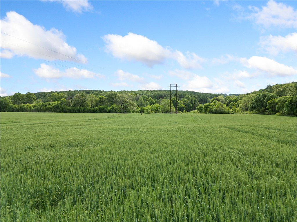 Image 15
