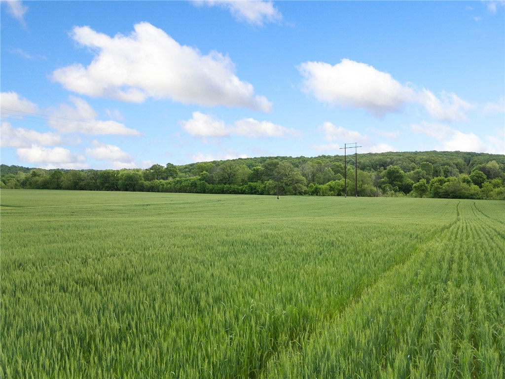 Image 16