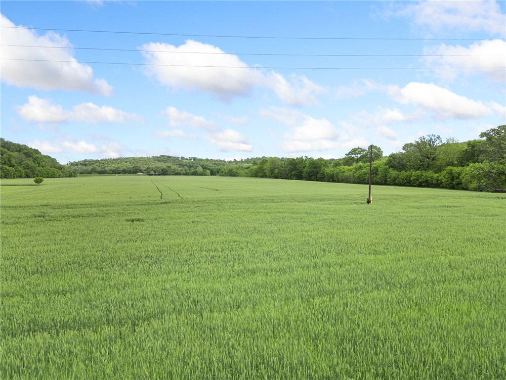 Image 17