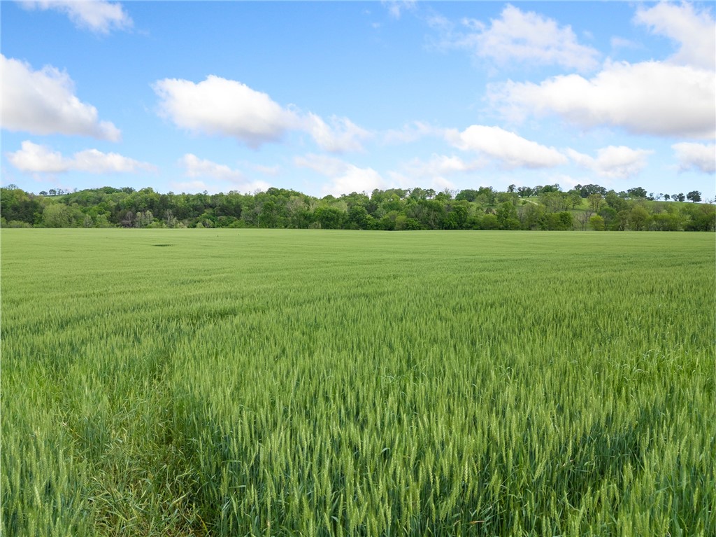 Image 23