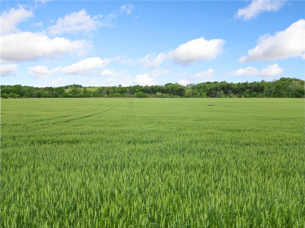 Image 24