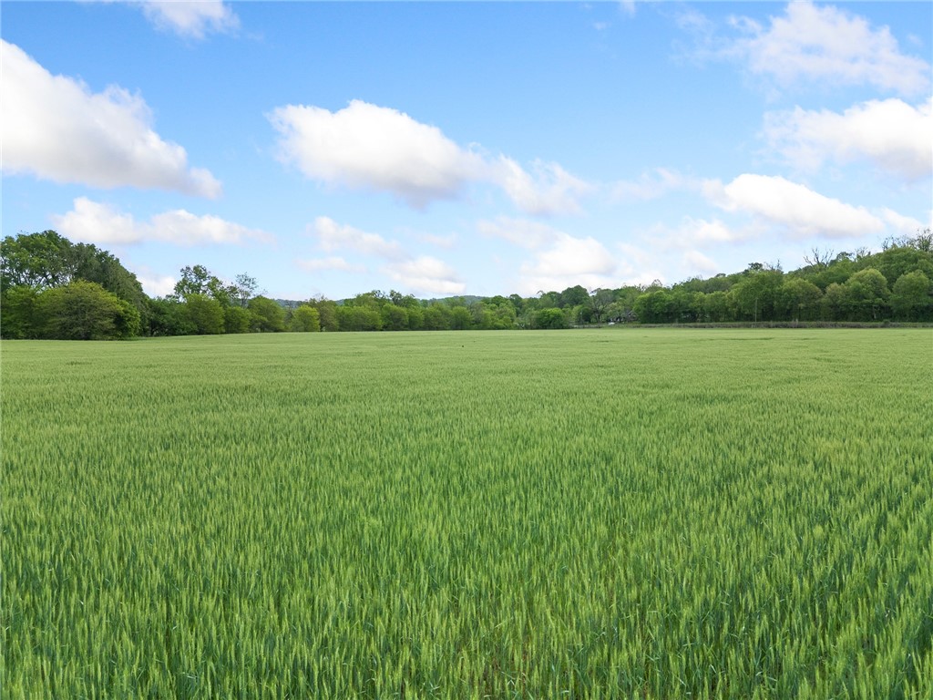 Image 25