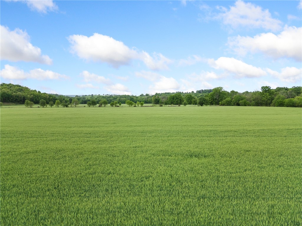 Image 26