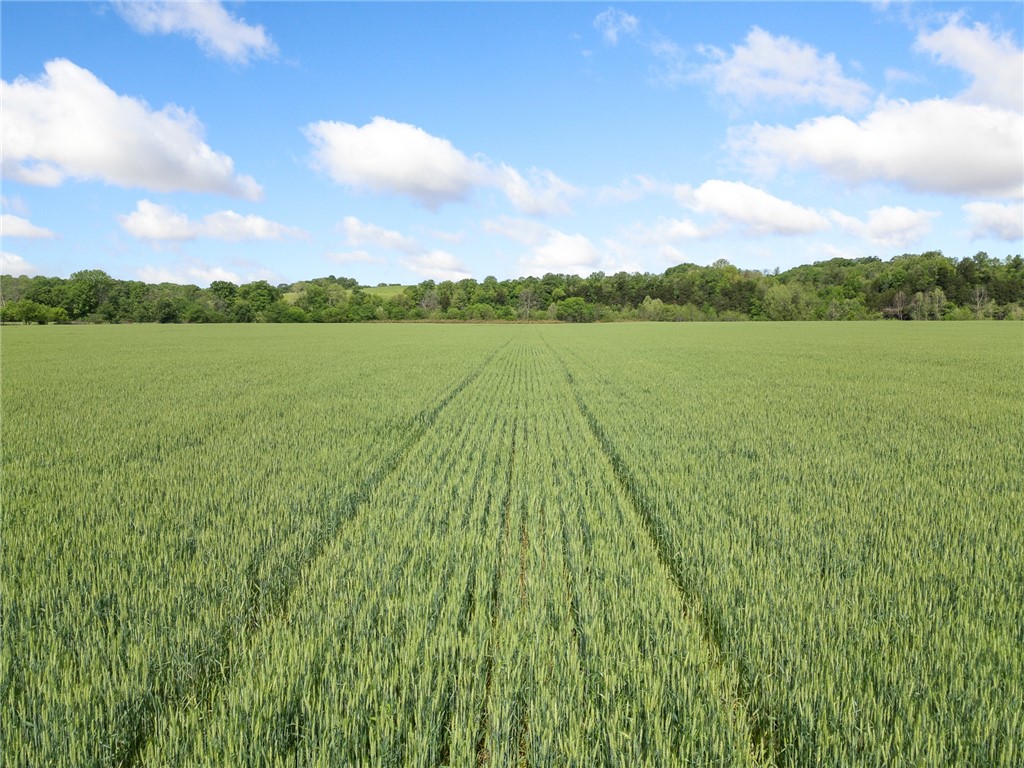 Image 39