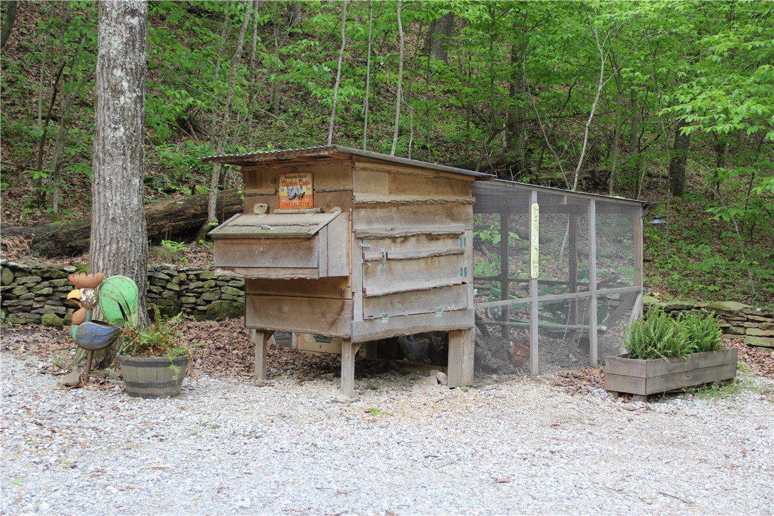 Image 11