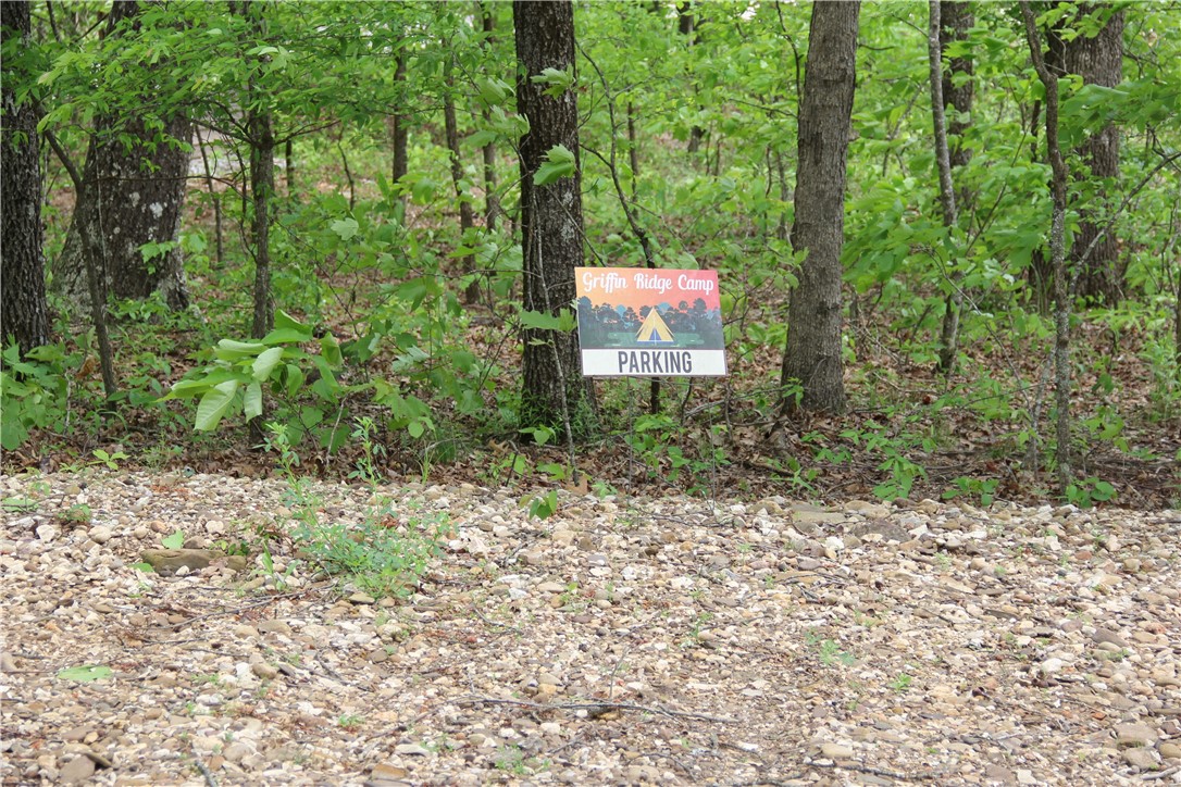 Image 19