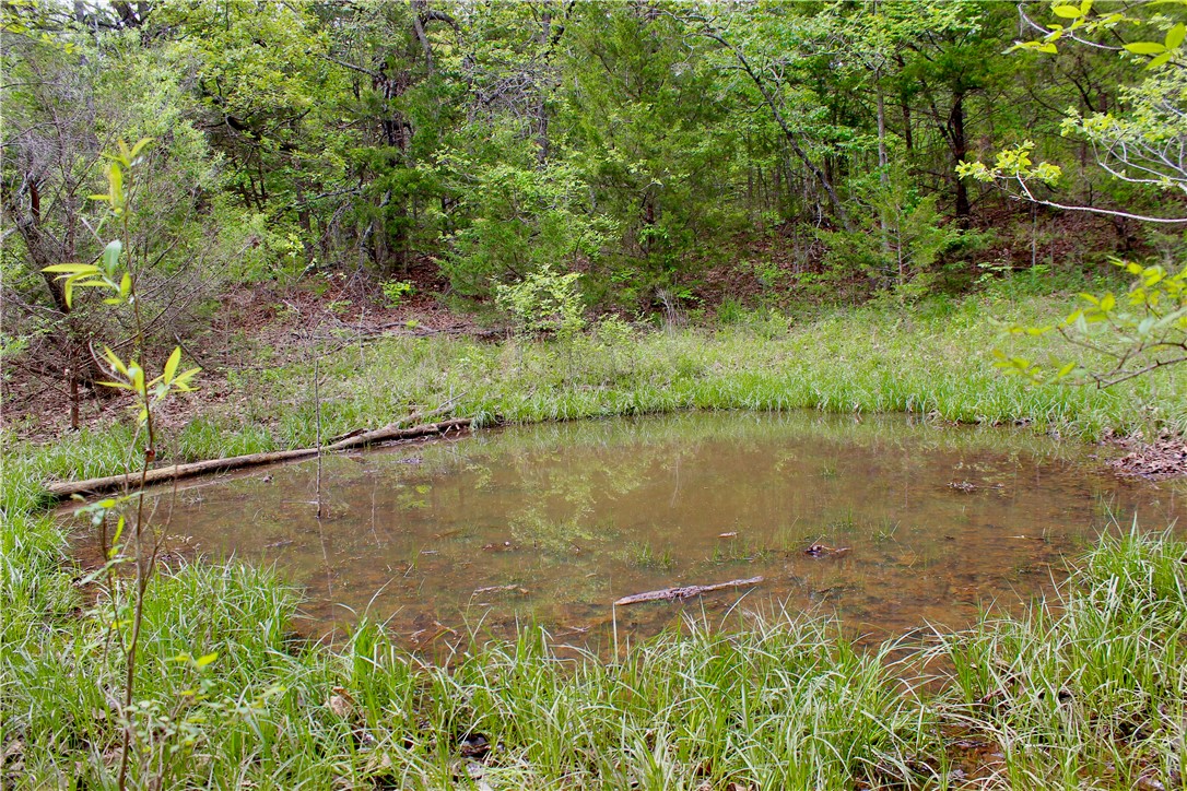 Image 13