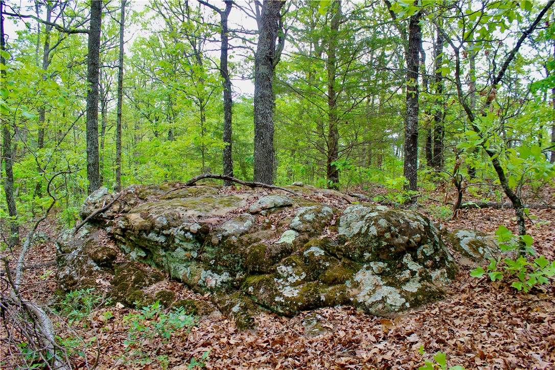 Image 14