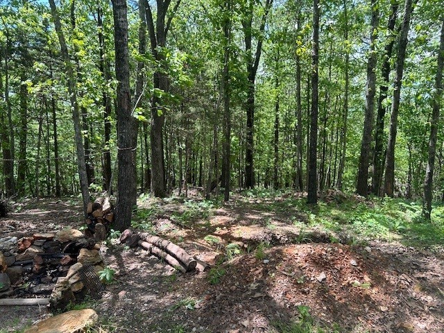 Image 6