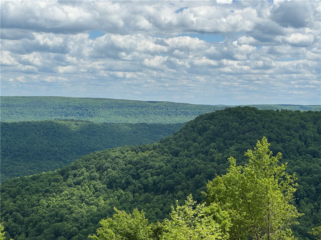 Image 9