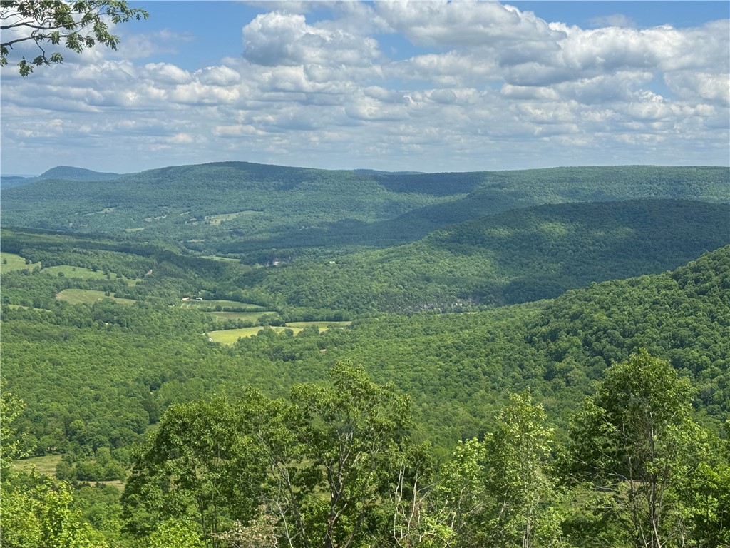 Image 10