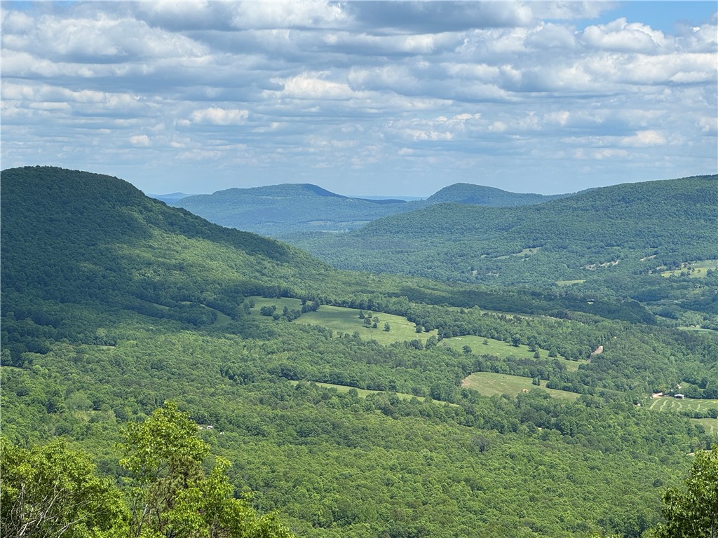 Image 13