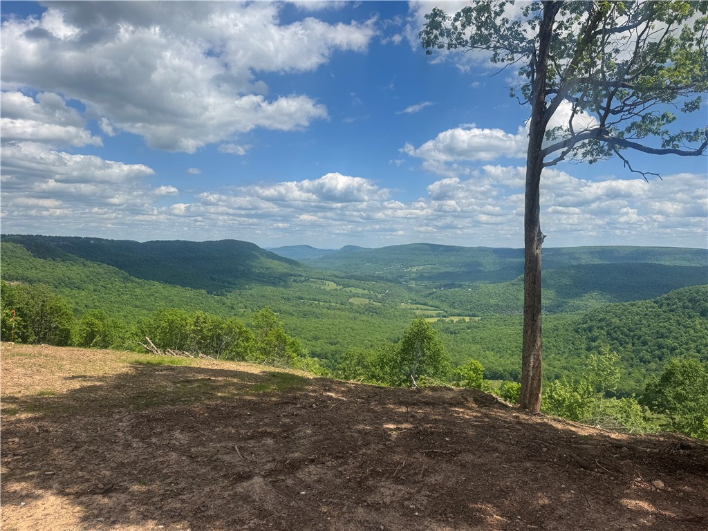 Image 14