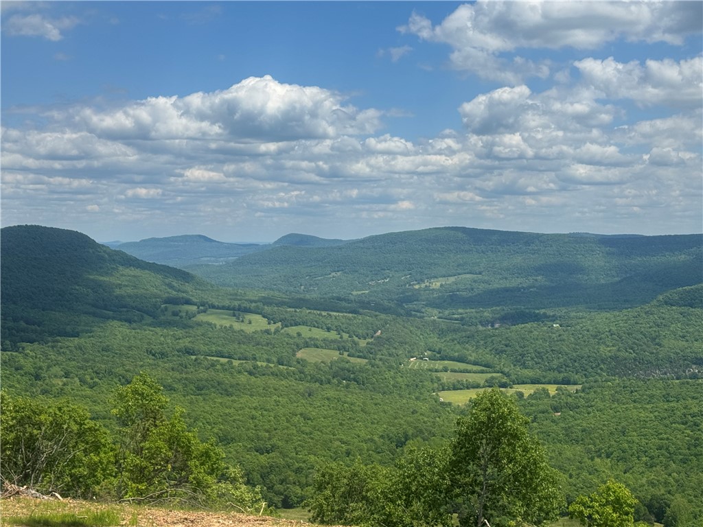 Image 15