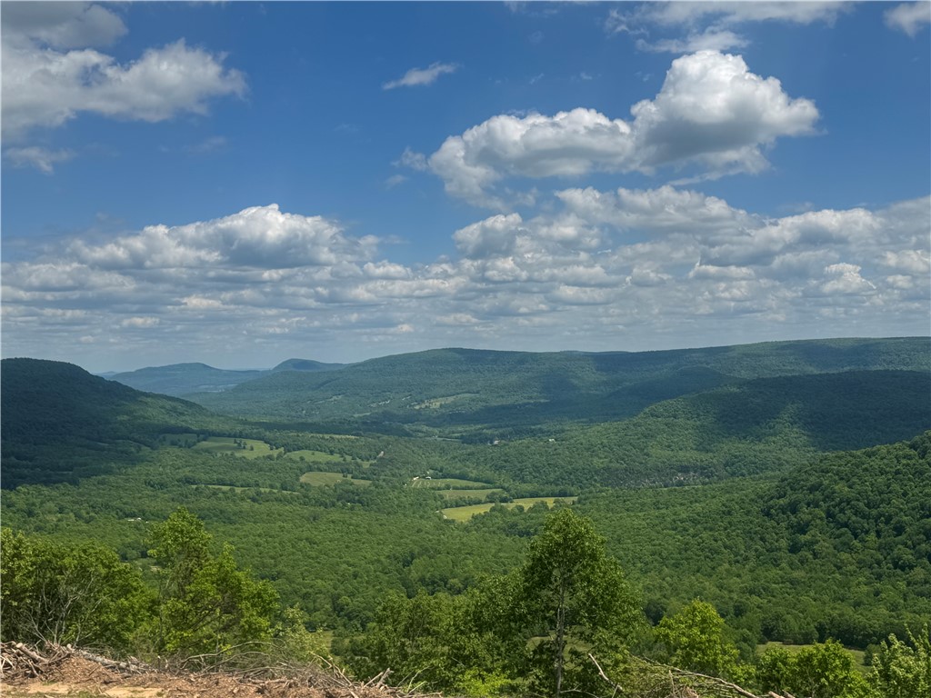 Image 18