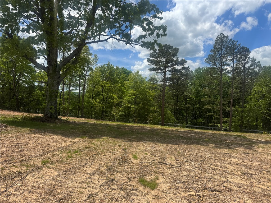 Image 19