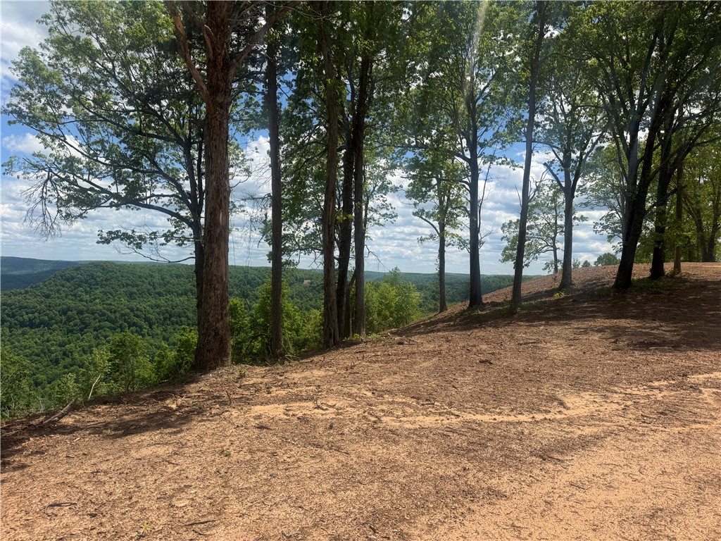 Image 6