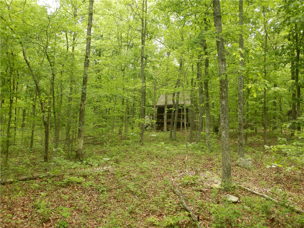 Image 13