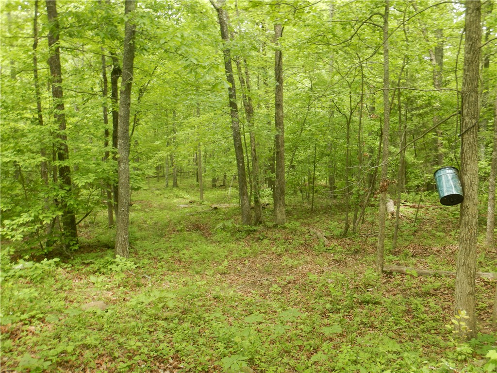 Image 14