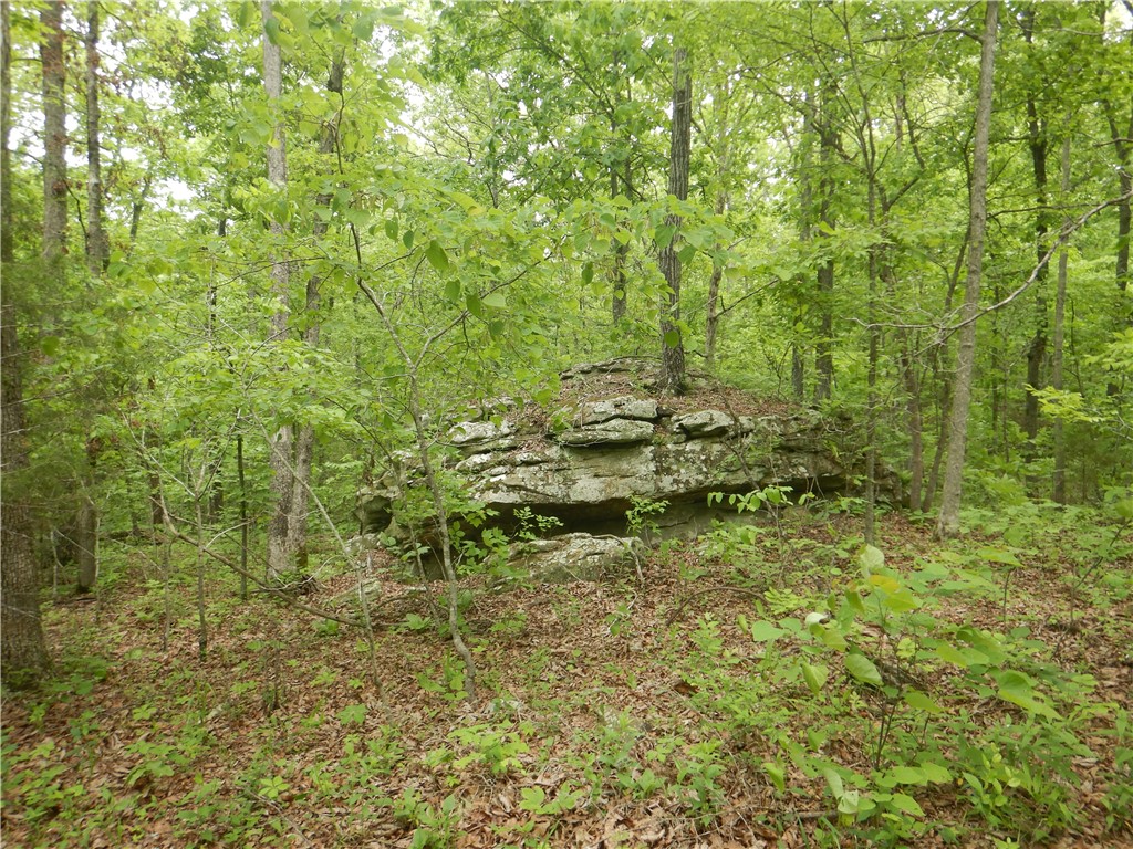 Image 15