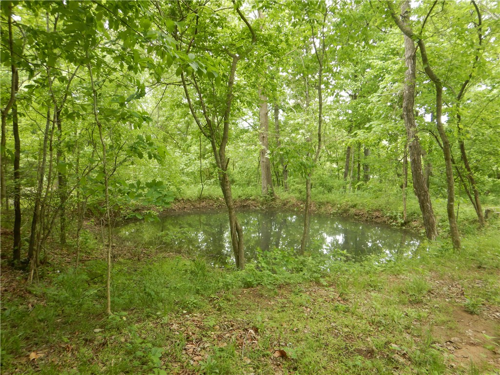 Image 21