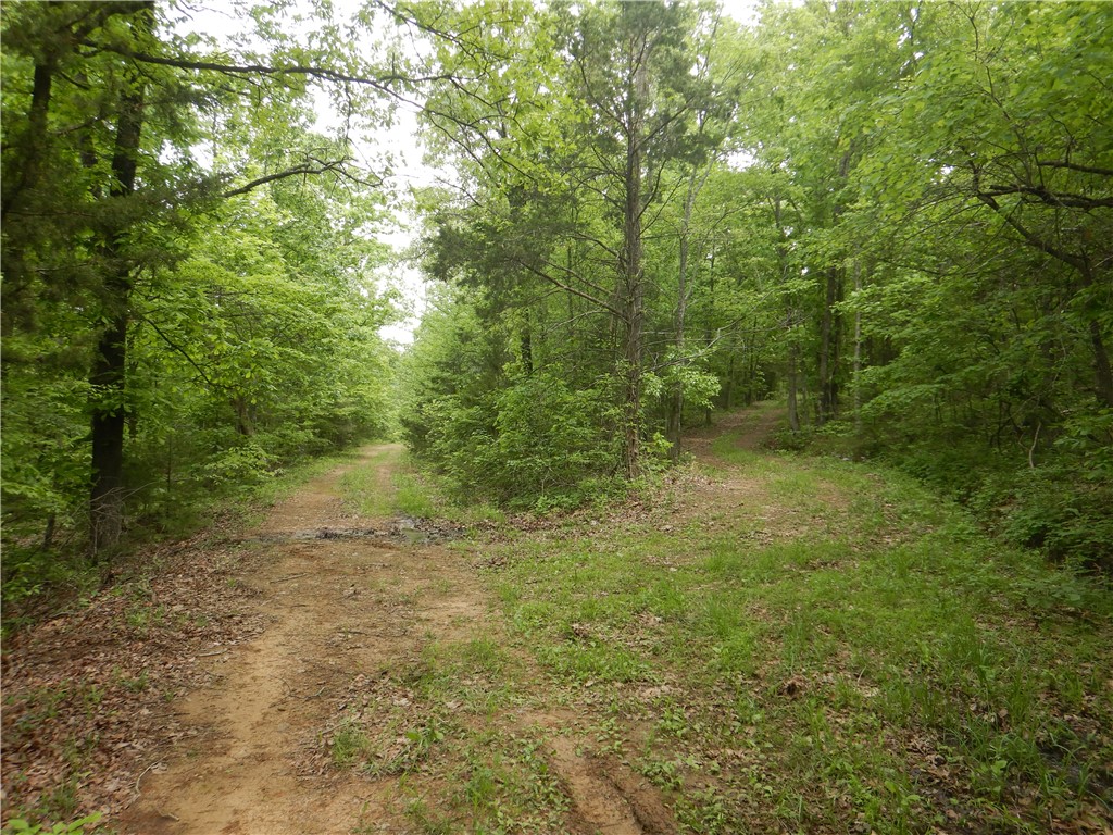 Image 41