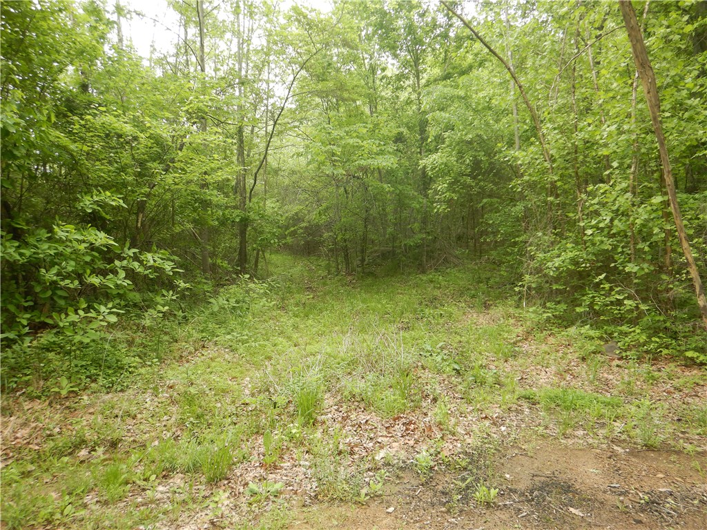 Image 43