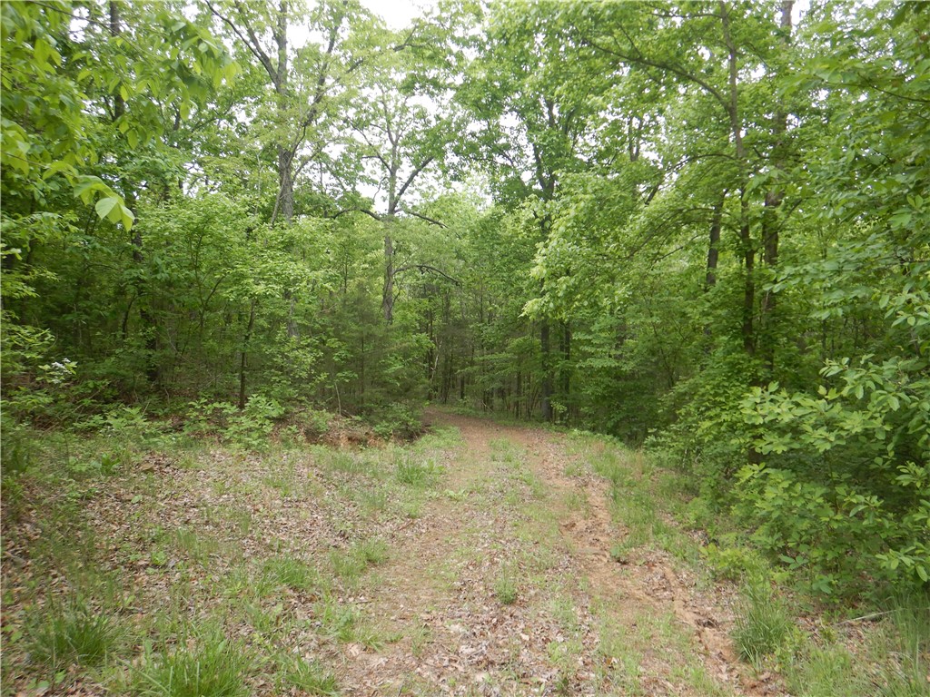 Image 45