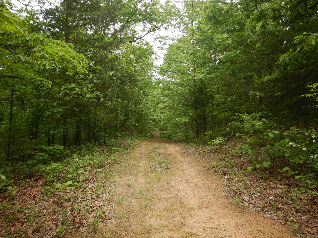 Image 47