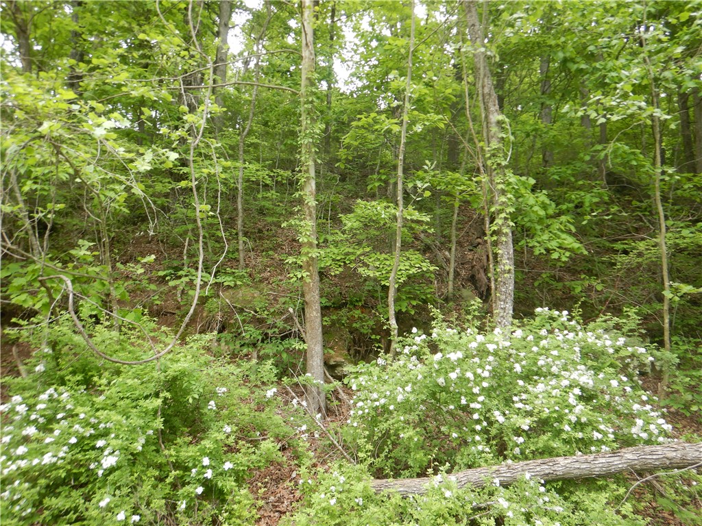 Image 50