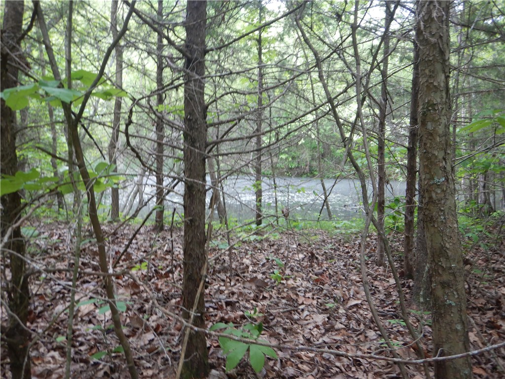 Image 51