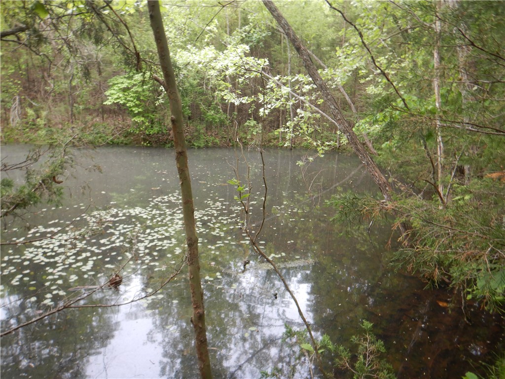 Image 52