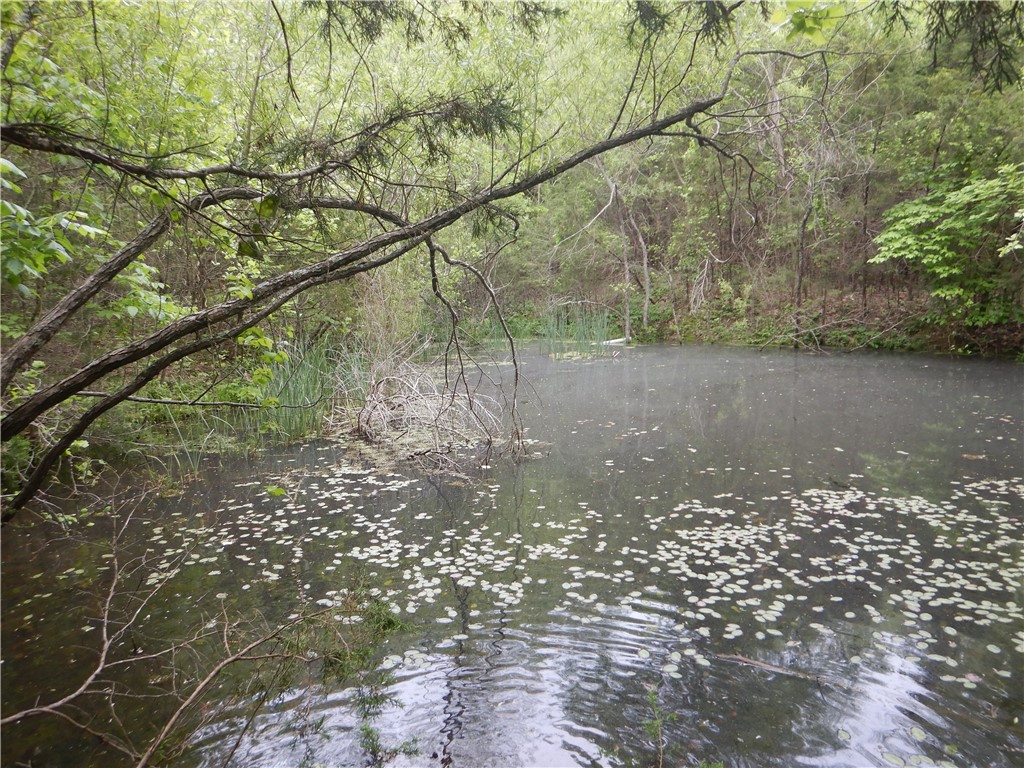 Image 53