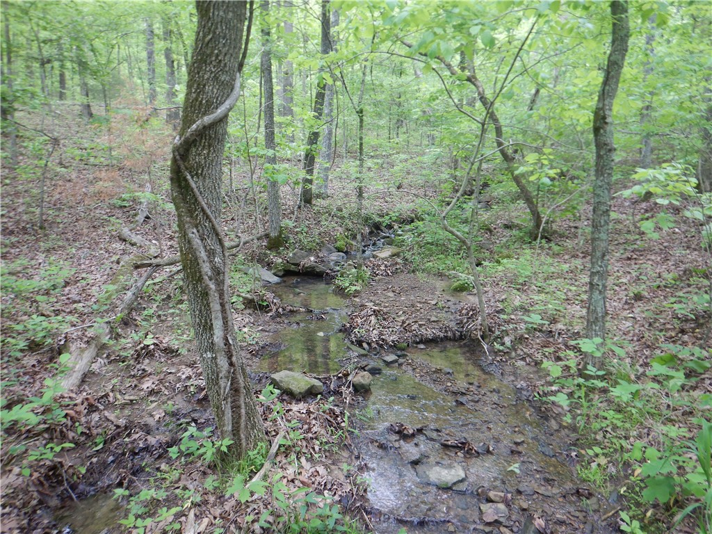 Image 54