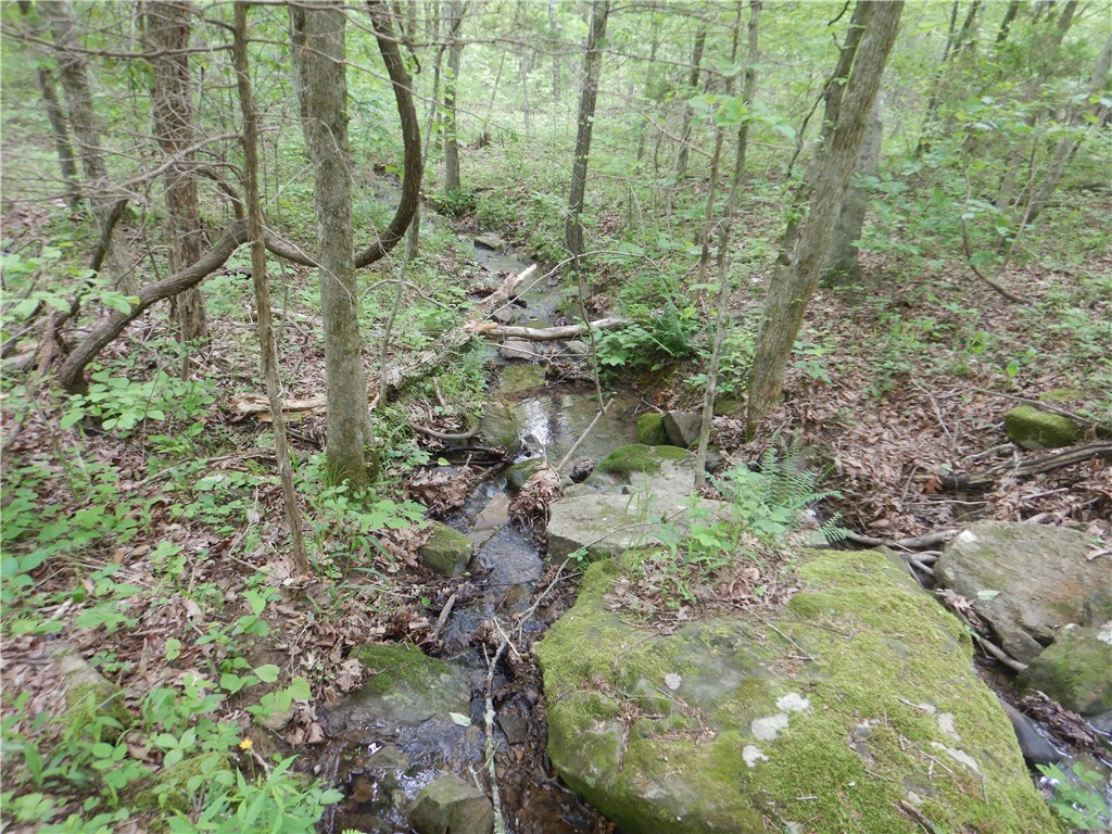 Image 55