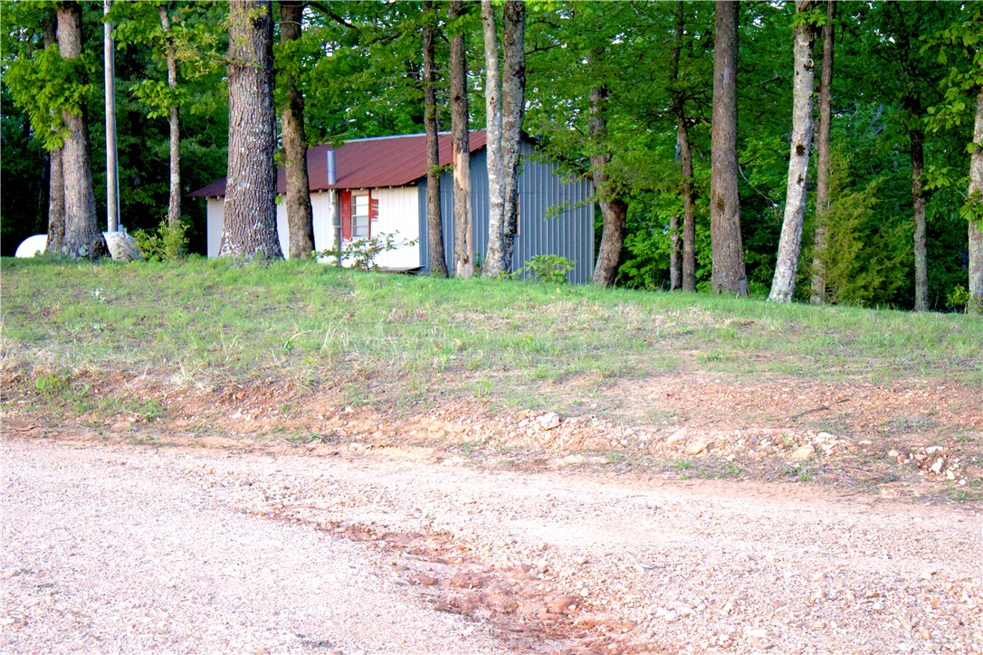 Image 31