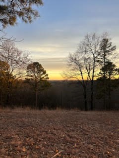 Image 14