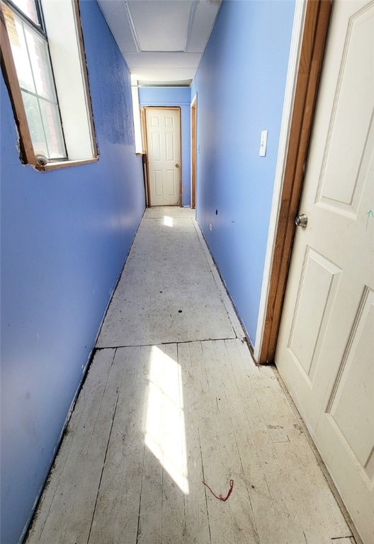 Image 20