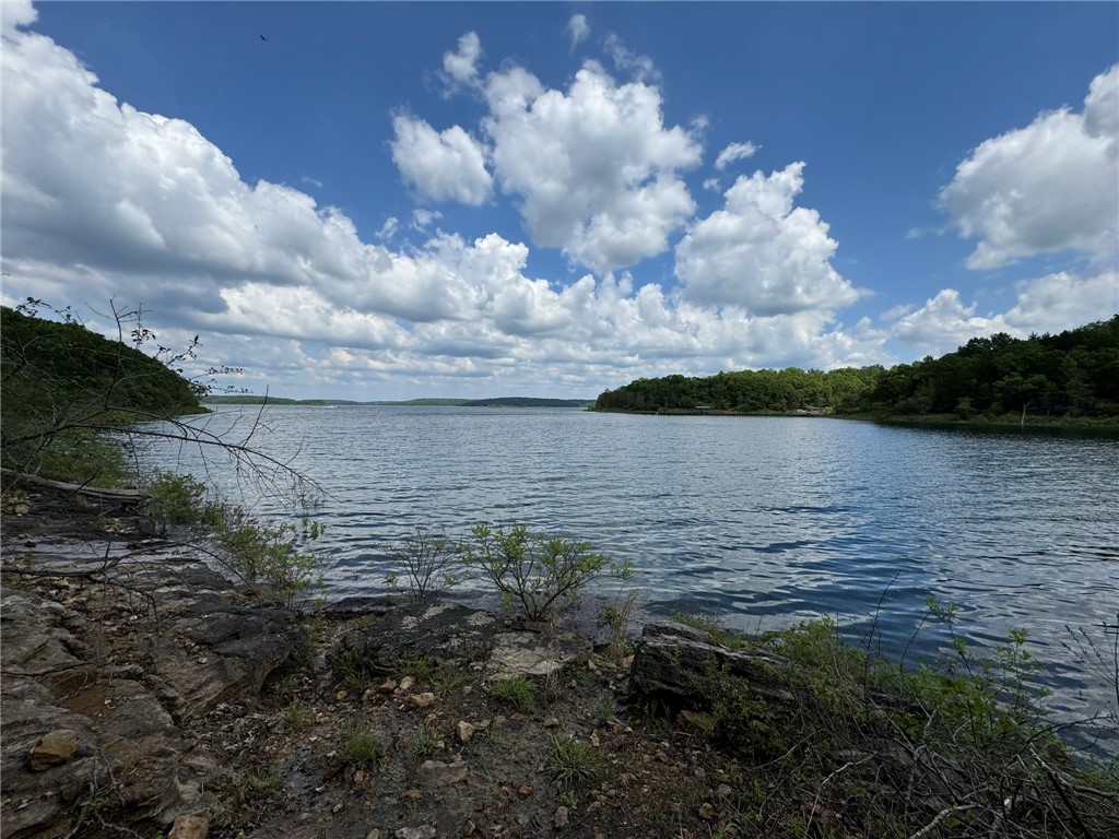 Image 39