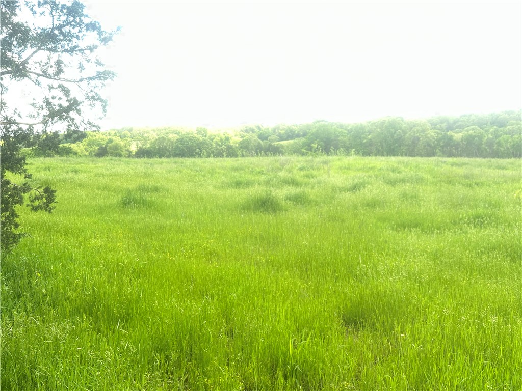 Image 13