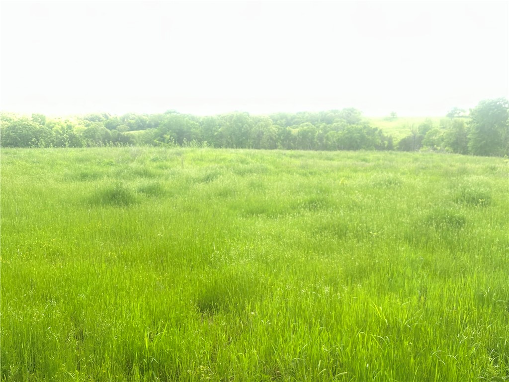 Image 14