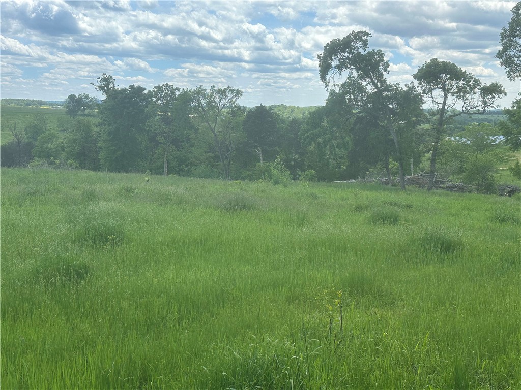 Image 15