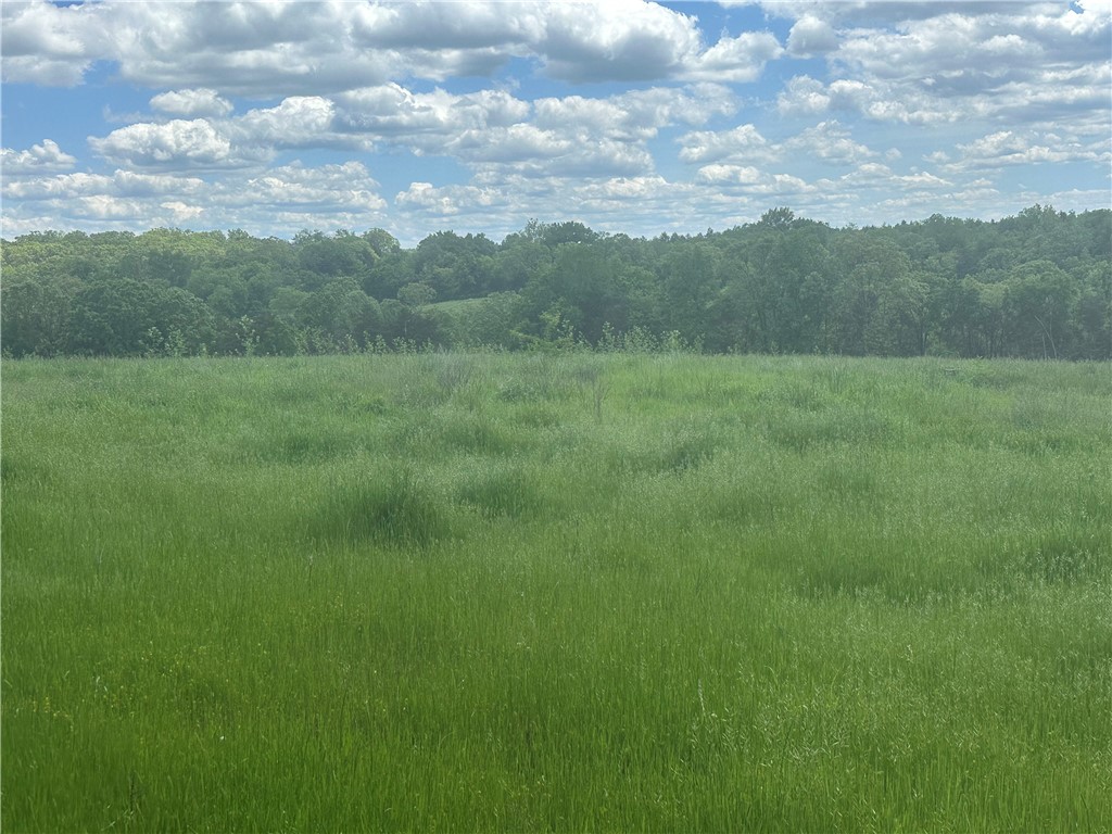 Image 16