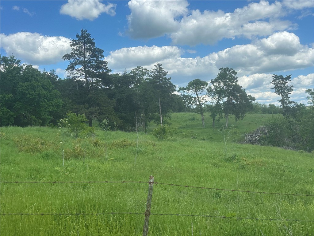 Image 18