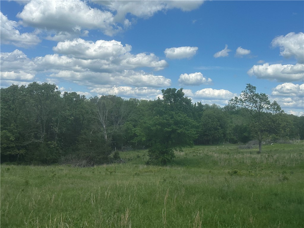 Image 20