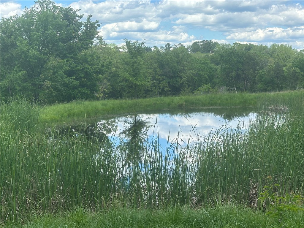 Image 21