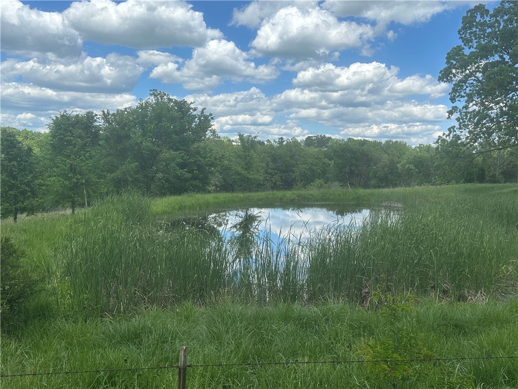 Image 22
