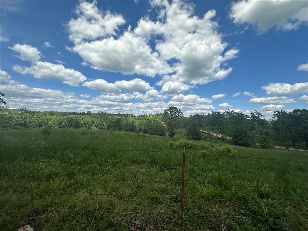 Image 25