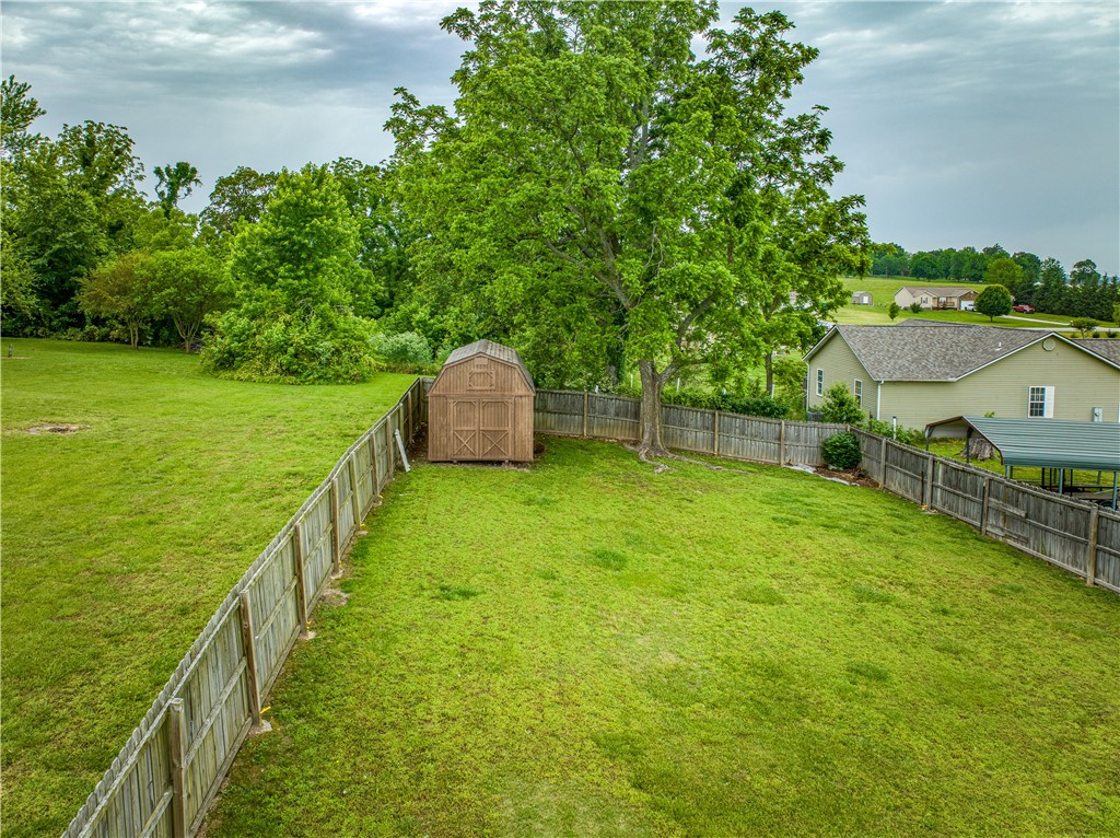 Image 31