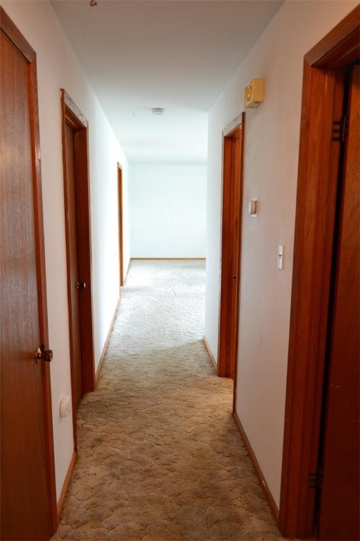 Image 21